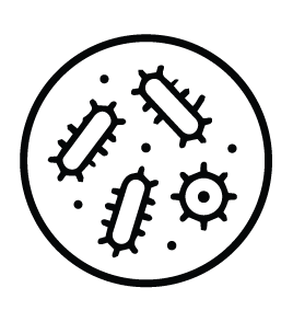 ICONLAR-01